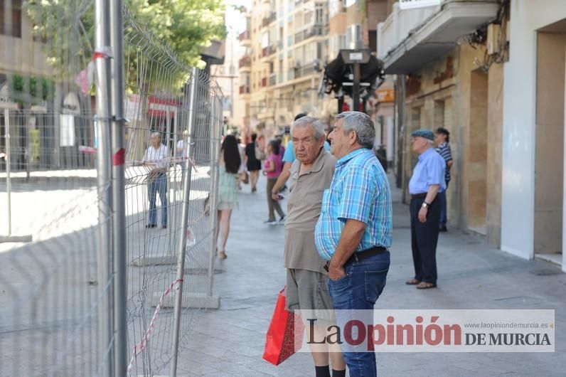 El día después de la caída de la rama del ficus de