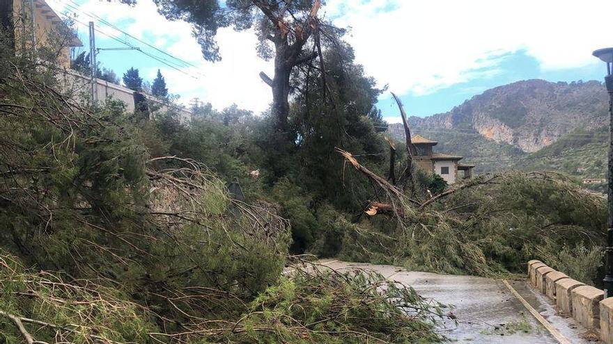 Los estragos de &#039;Hortense&#039; en Mallorca