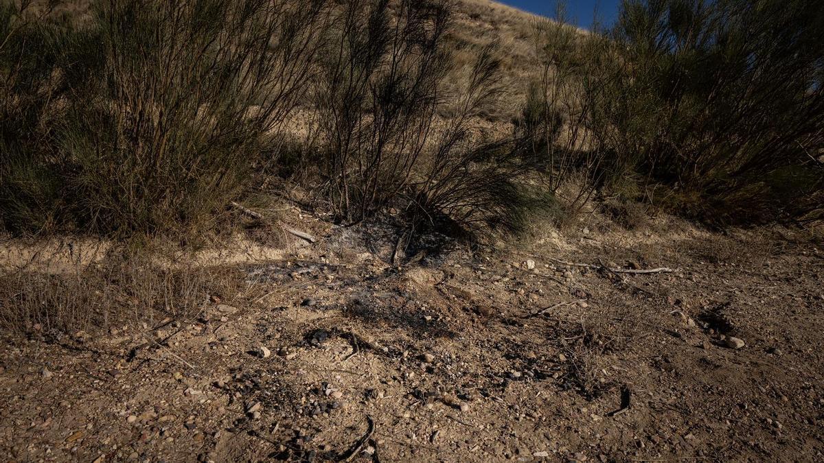 La Guardia Civil investiga como homicidio el hallazgo de un cadáver calcinado en Plasencia de Jalón