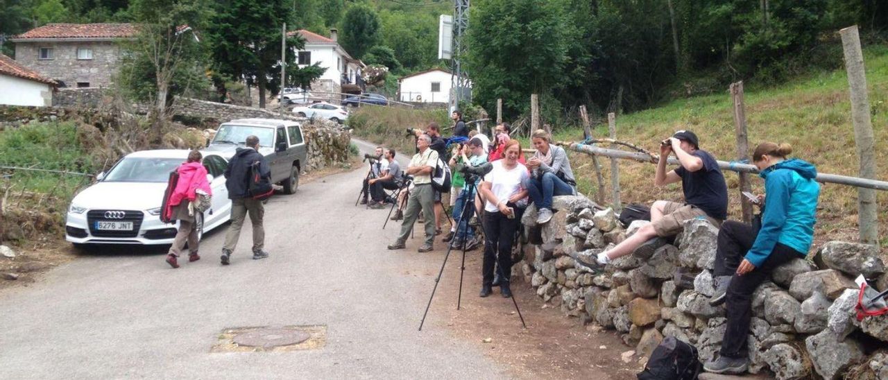 Ecoturistas en el muro de la finca de Gúa donde el Ayuntamiento de Somiedo hará un área de observación . | | LNE