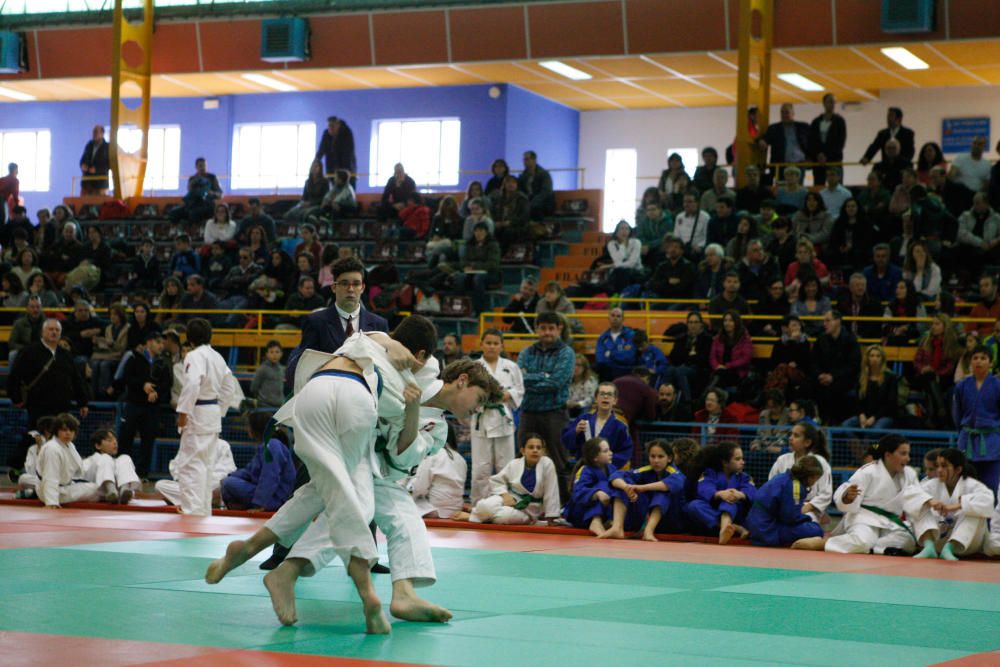 Campeonato regional de judo