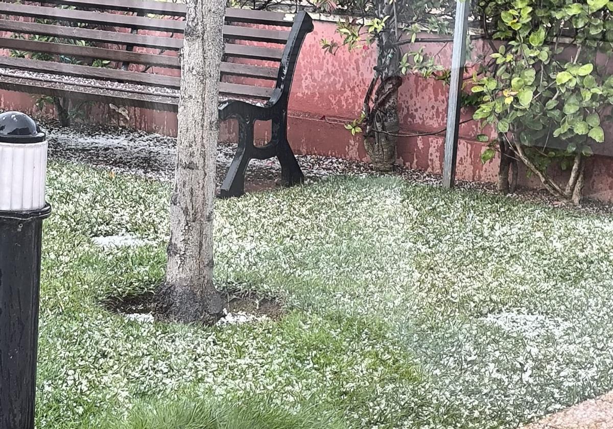 Un jardín tapizado de blanco por el granizo