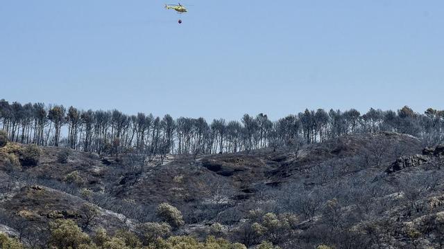 Aspecte d’un terreny calcinat per l’incendi originat a Tamarit de Llitera. | JAVIER BLASCO / EFE