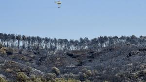 Més de 300 efectius aplaquen l’incendi de Tamarit de Llitera
