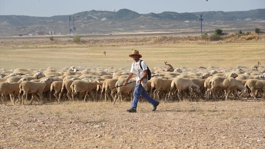 Oxígeno para los agricultores