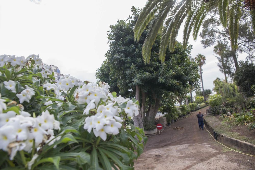 Vivero de Santa Cruz de Tenerife