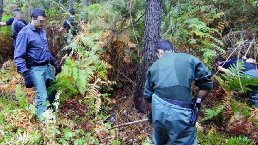 Agentes de la Guardia Civil, ayer en la zona forestal de A Cañiza en busca de restos óseos.  // R. Grobas