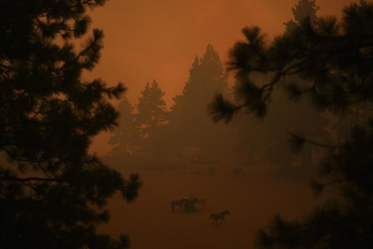 Grandes incendios en la zona de Running Springs en California