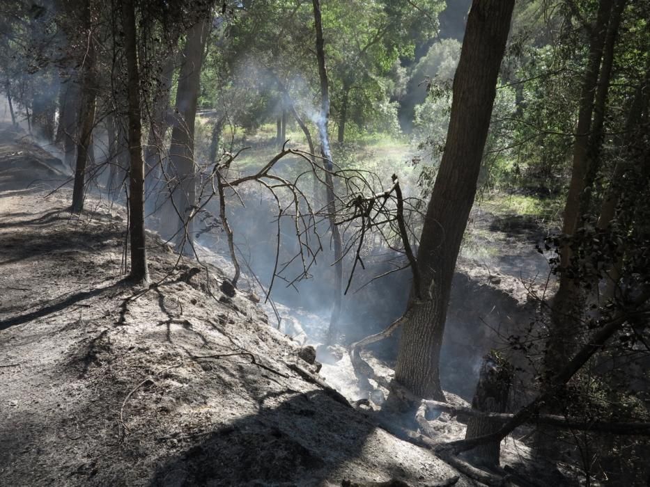 Waldbrand bei Puigpunyent