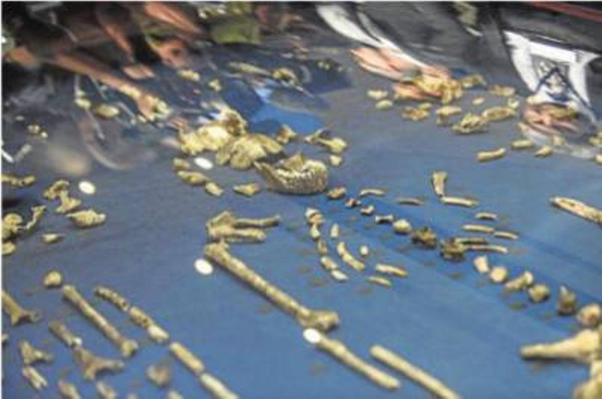 Homo nadeli, una nueva especie de homo con rasgos de Australopithecus