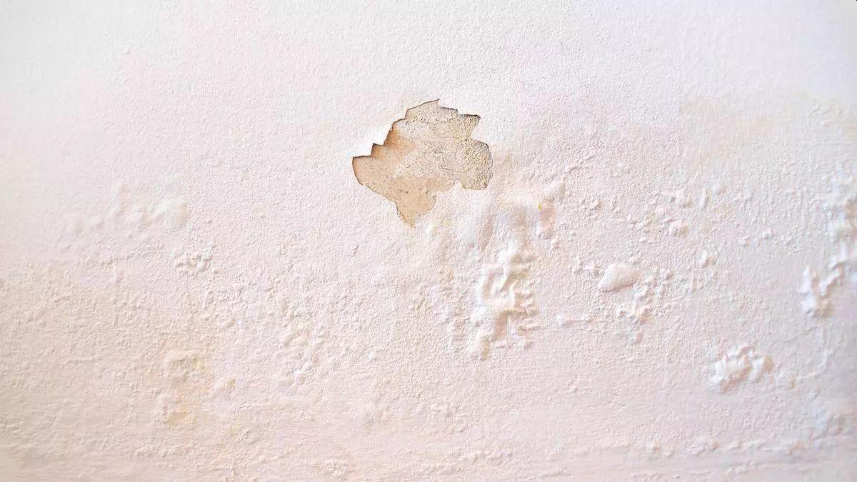 Adiós a la humedad de la pared sin pintar: las 20 gotas que la dejan como nueva.