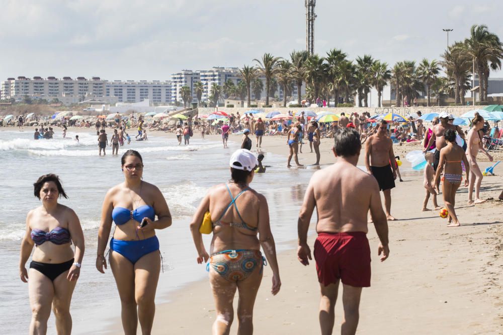 Veraneantes y visitantes en las playas de l'Horta.