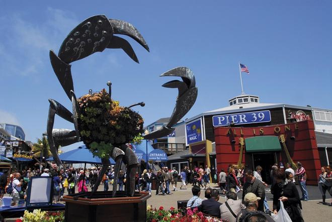 pier 39,  San Francisco