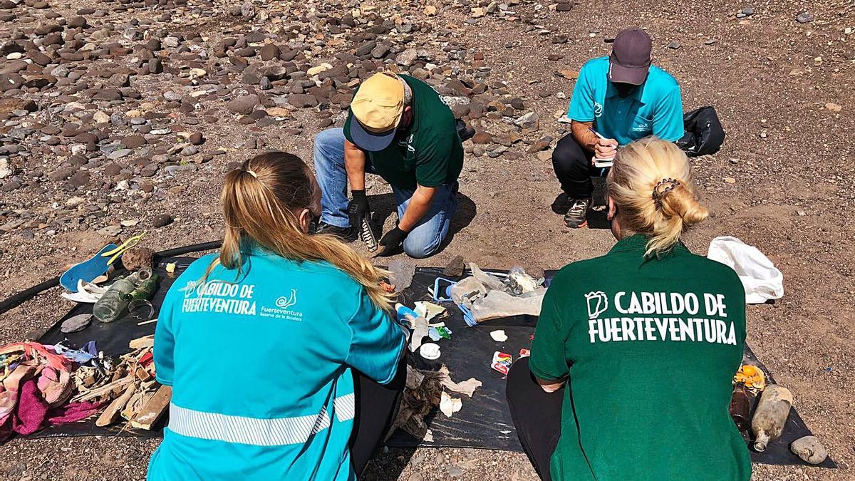 Un grupo de jóvenes durante labores de inspección en el litoral majorero. | | LP/DLP