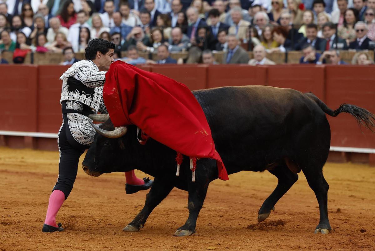 Pablo Aguado, en la lidia de uno de sus toros en Sevilla, este sábado.