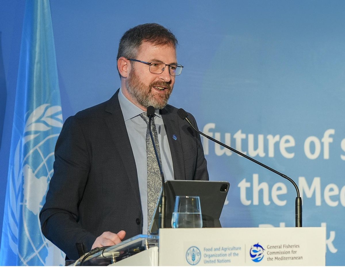 Miguel Bernal (FAO): «El Mediterráneo necesitará al menos 20 años para recuperar su biodiversidad»