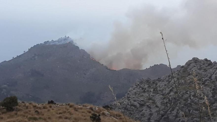 El incendio forestal de Escorca ha arrasado 40 hectáreas de monte