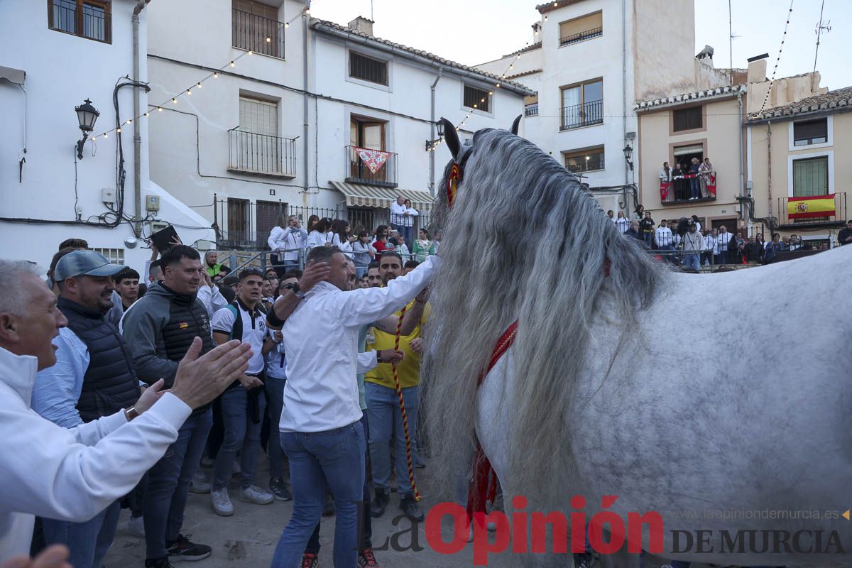 Entrega de premios del concurso de 'Caballo a pelo' en Caravaca