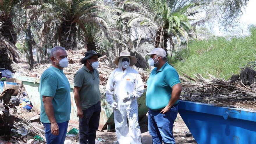 El Cabildo y Arrecife activan la limpieza del Parque de las Garcillas ante la acumulación de residuos y restos de aves