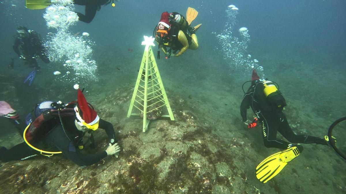 Árbol de Navidad en el fondo del mar en Garachico