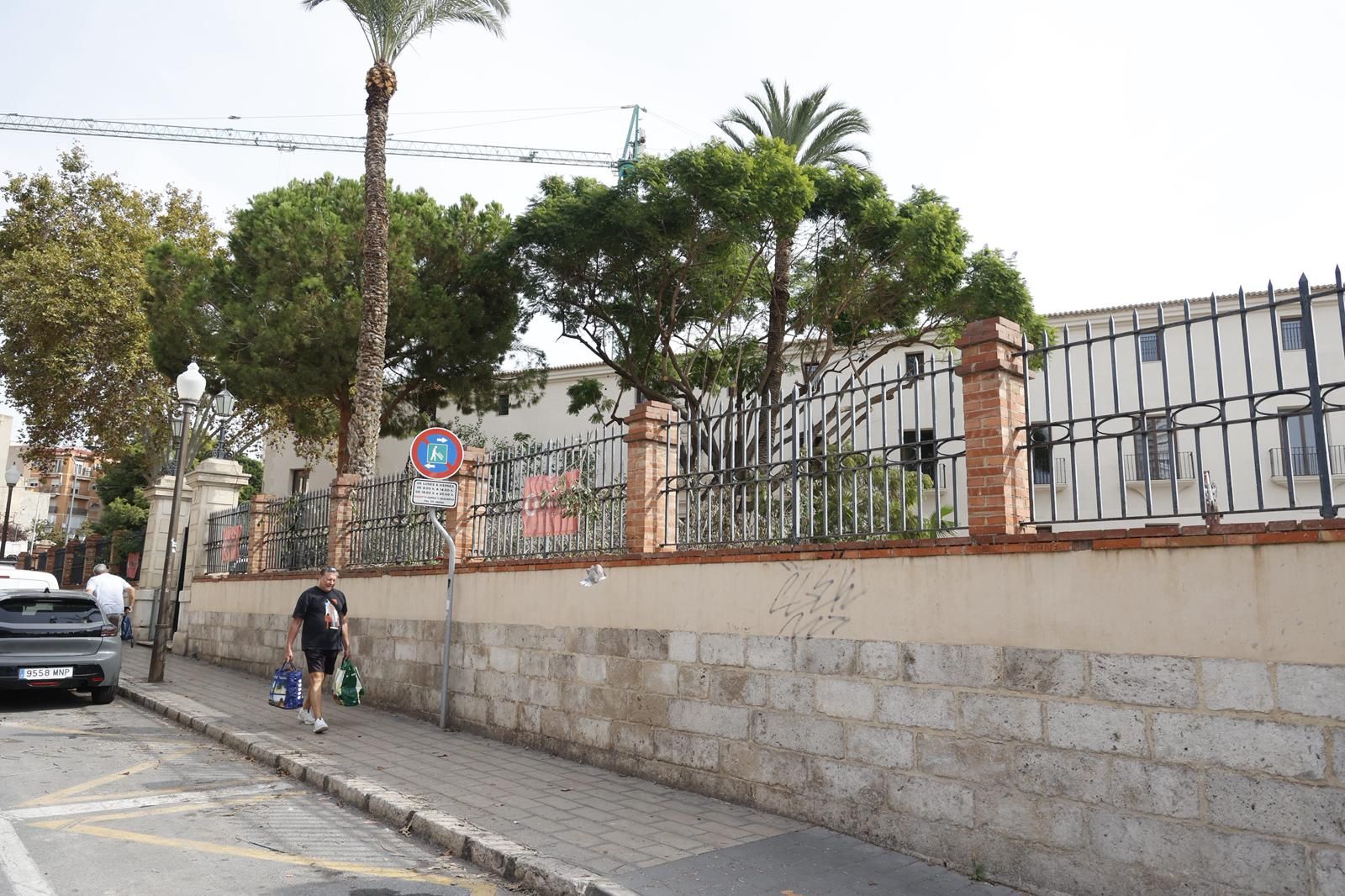 Una nueva tala de árboles en Alicante desata la polémica