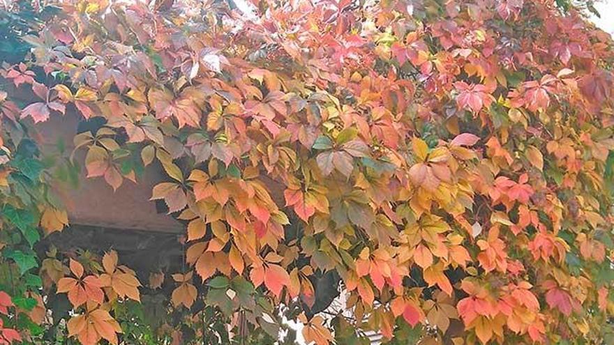 La tardor és una estació deliciosa per llegir a lloure