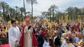 El tiempo respeta al Domingo de Ramos en Elche: 70.000 personas acompañan al Pas de la Burreta