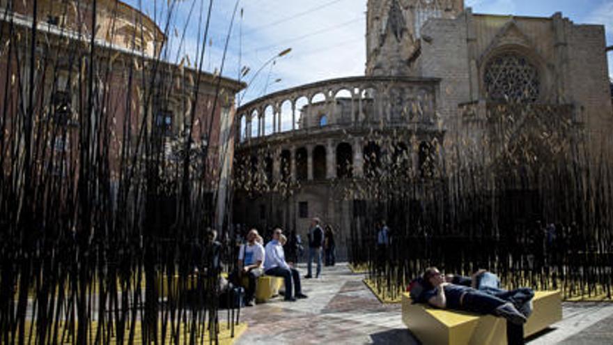 La plantación de cebada de Monique Bastiaans en la Plaza de la Virgen.