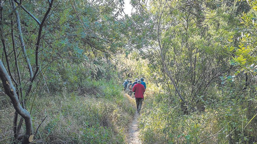 El Soto de Cantalobos: una catedral de la naturaleza  en el corazón de la ciudad