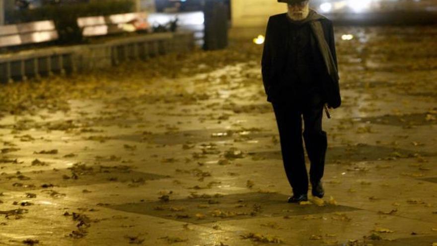 El temporal dejó una estampa otoñal en las calles palmesanas.