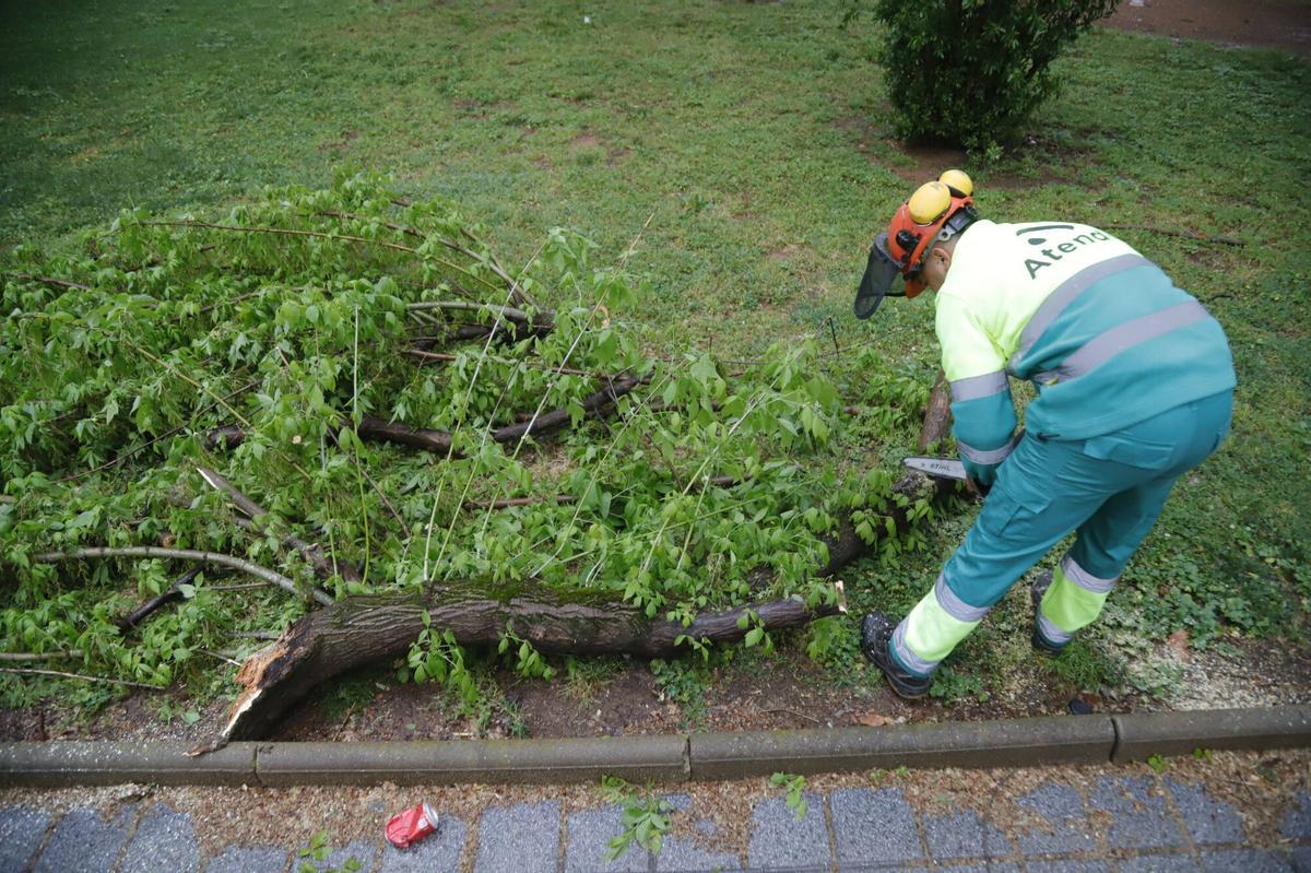 El temporal de lluvia y viento, en imágenes