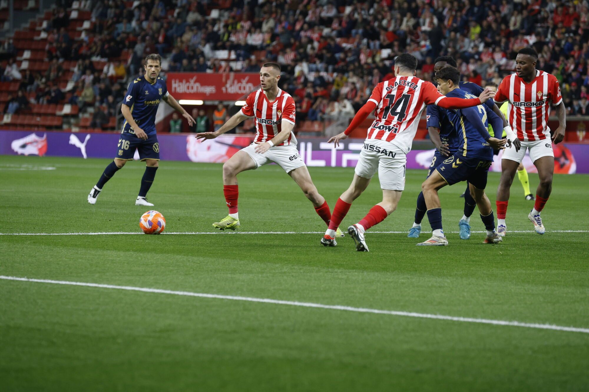 EN IMÁGENES: El Sporting - Tenerife disputado en El Molinón