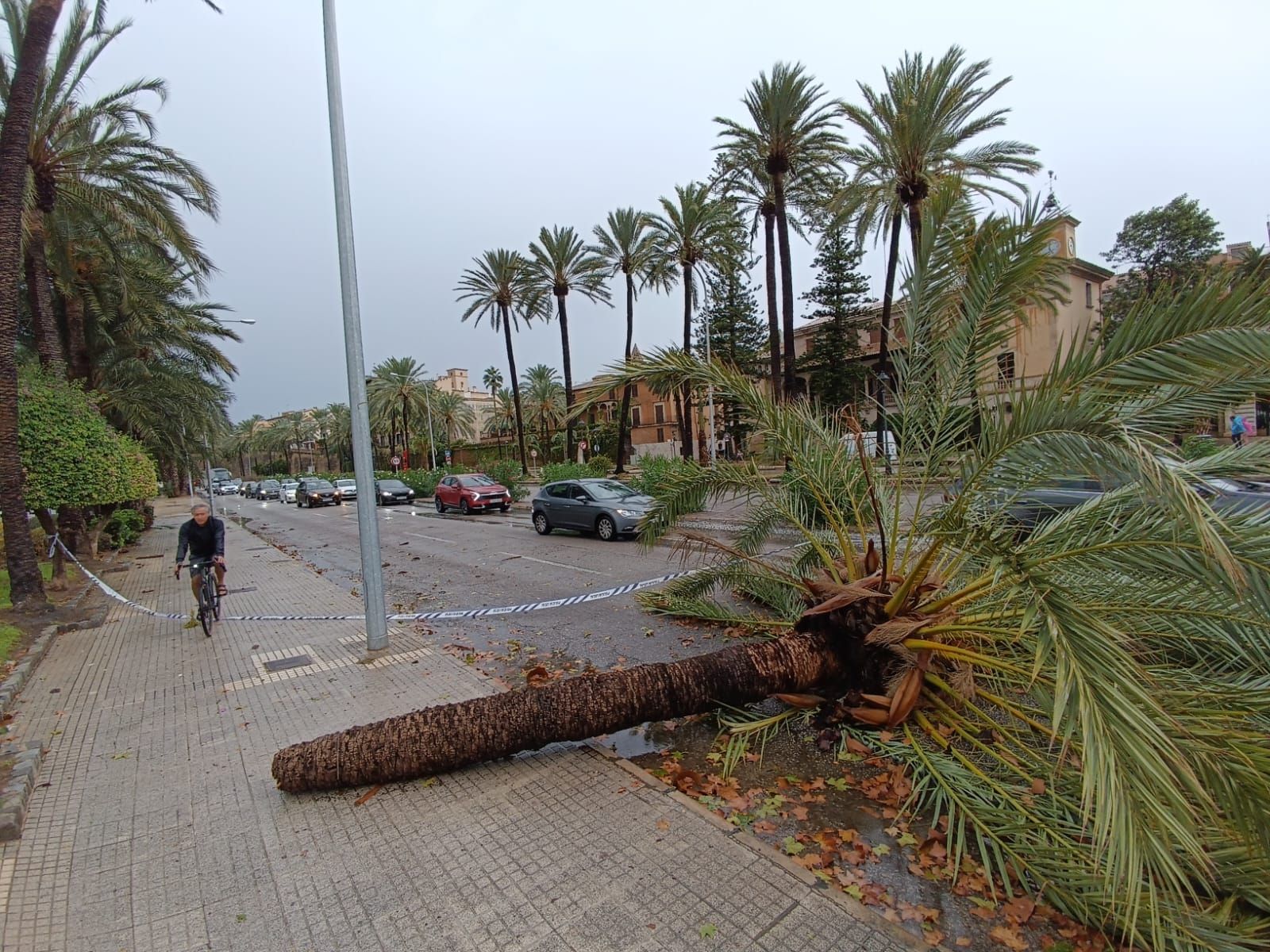 FOTOS │Una intensa tormenta barre Mallorca