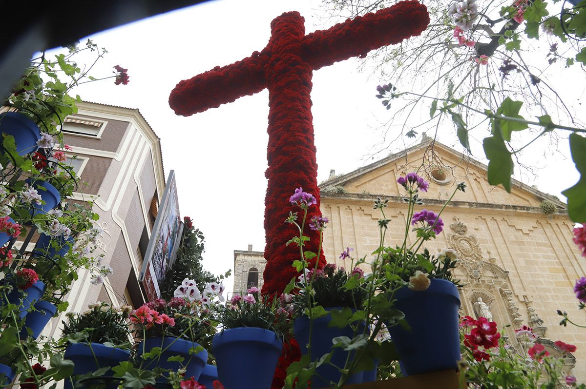 Las cruces de mayo, en imágenes