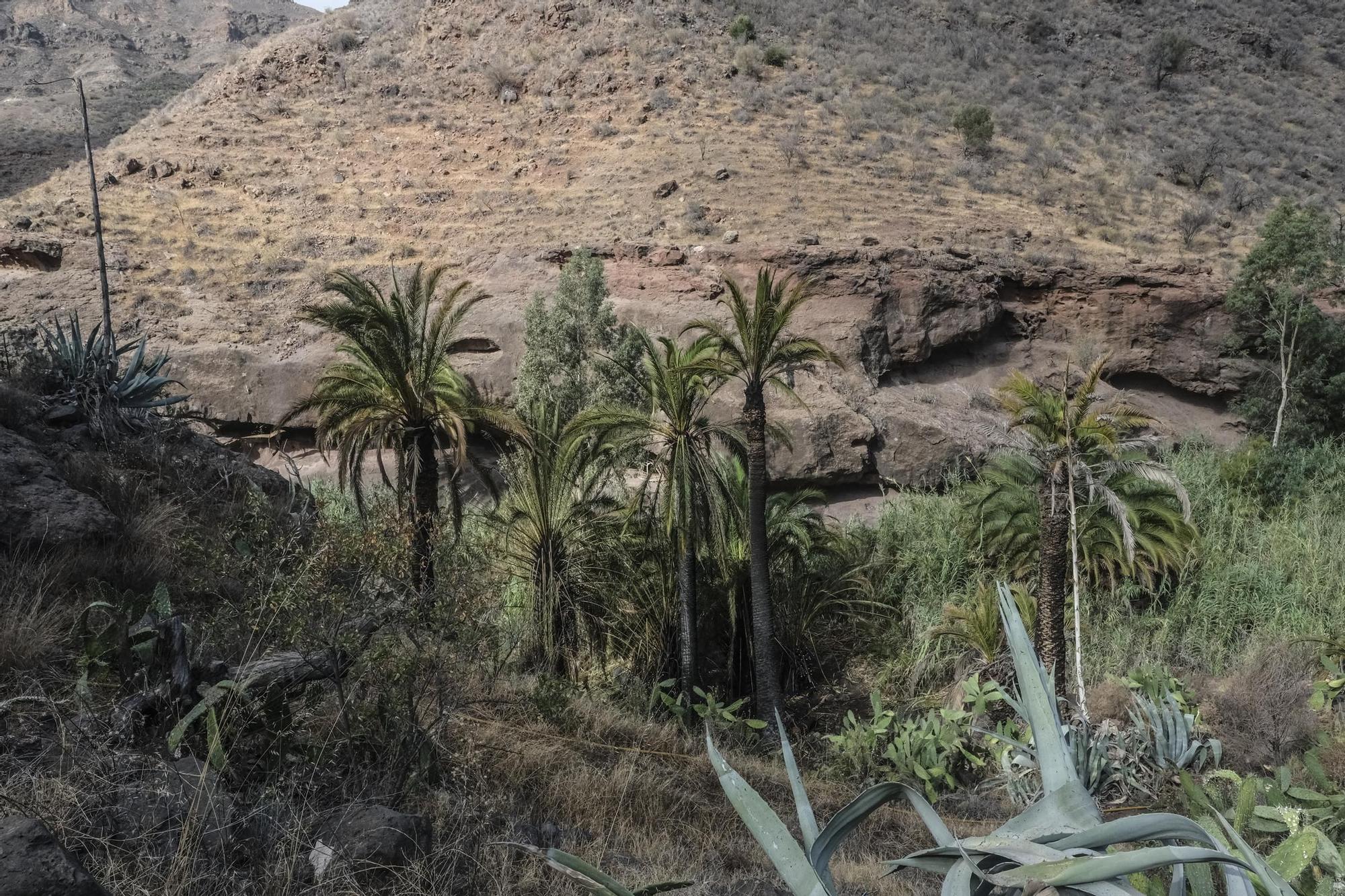 Incendio en Santa Lucía