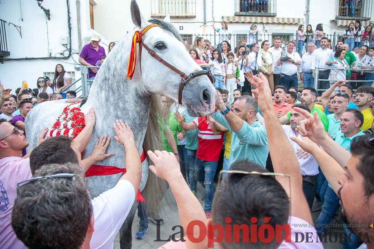 Entrega de premios del concurso morfológico de los Caballos del Vino de Caravaca