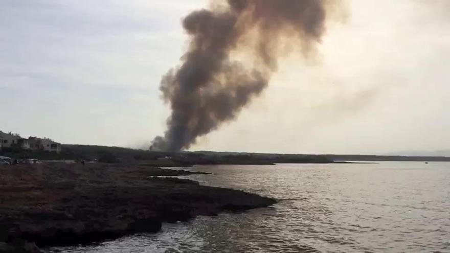 Erneuter Waldbrand im Gebiet von sa Canova