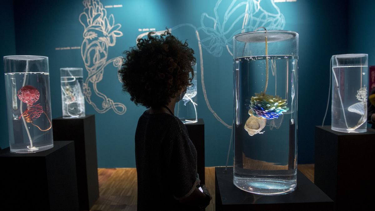 Instalación ‘Ecosystem of Excess’, de Pinar Yoldas, que fabula con la simbiosis de microorganismos con microplásticos en el océano,  en ‘Ciencia Fricción’.