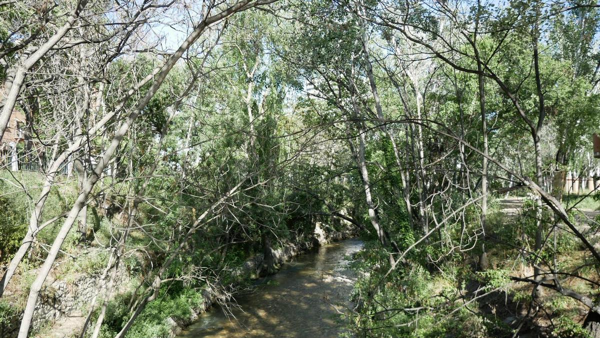 Riberas del río Huerva a su paso por Zaragoza.