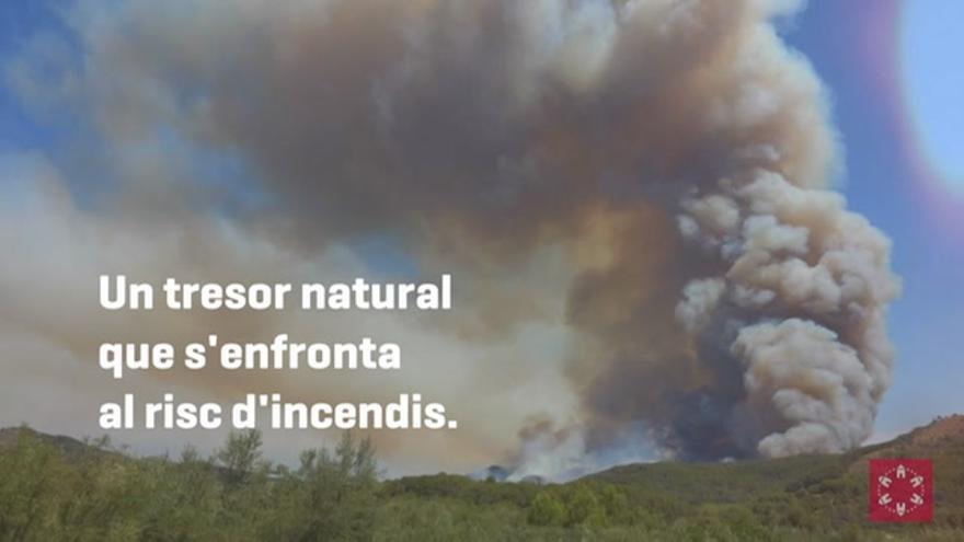 Campaña de prevención de incendios forestales