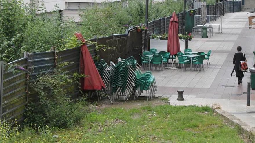 La vegetación que sale por encima del cierre de la calle.