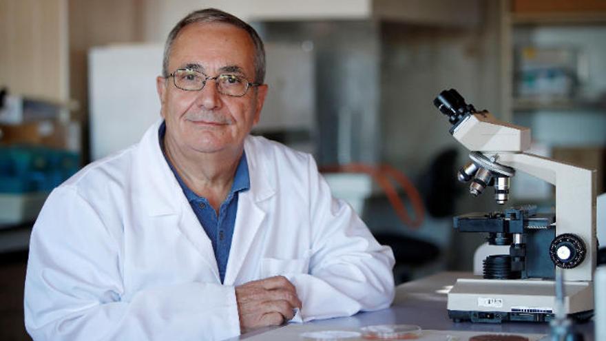 Elías Rodríguez Ferri, catedrático de Sanidad Animal, experto en microbiología e inmunología y presidente de la Academia de Ciencias Veterinarias de Castilla y León.
