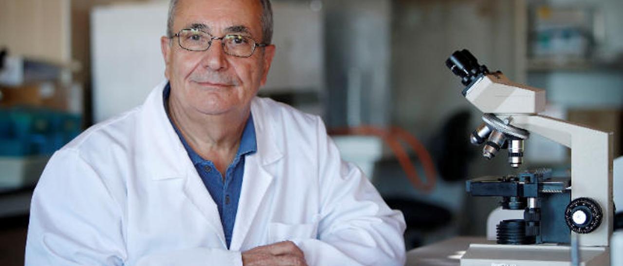 Elías Rodríguez Ferri, catedrático de Sanidad Animal, experto en microbiología e inmunología y presidente de la Academia de Ciencias Veterinarias de Castilla y León.