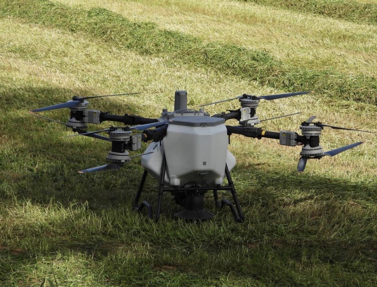 Un dron aplicando abono sobre el maíz en Galicia
