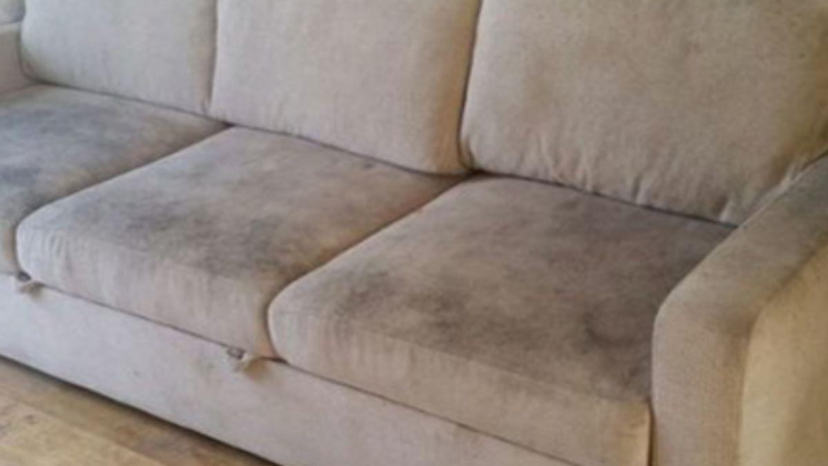 El sofá en alquiler.