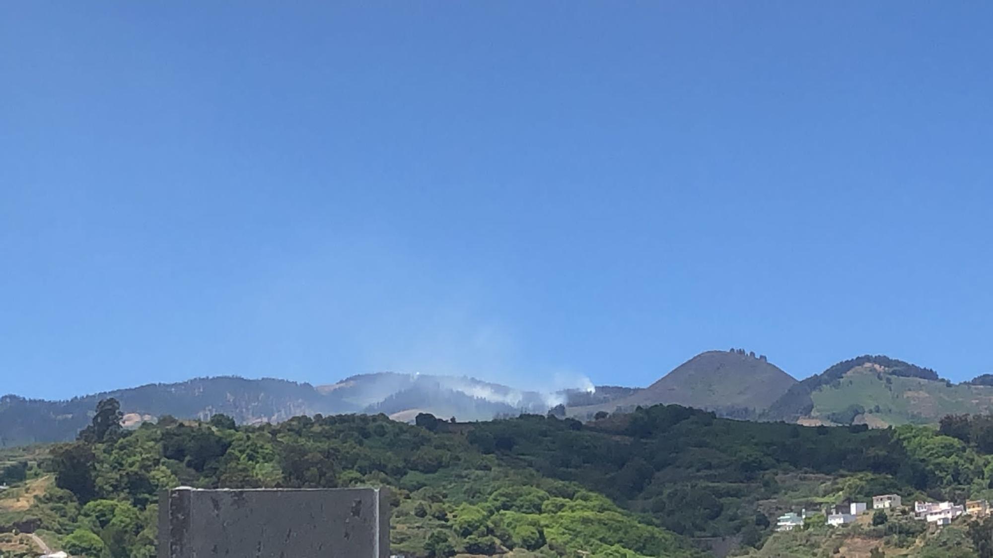 Quemas controladas en Gran Canaria (30/05/22)