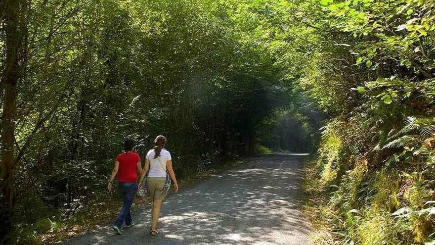 Dos jóvenes caminan por uno de los senderos de As Fragas do Eume.