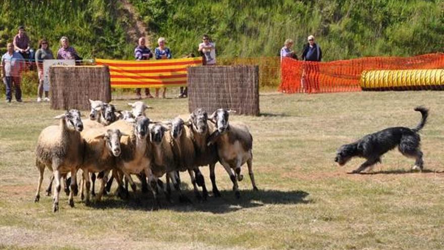 Les activitats més tradicionals