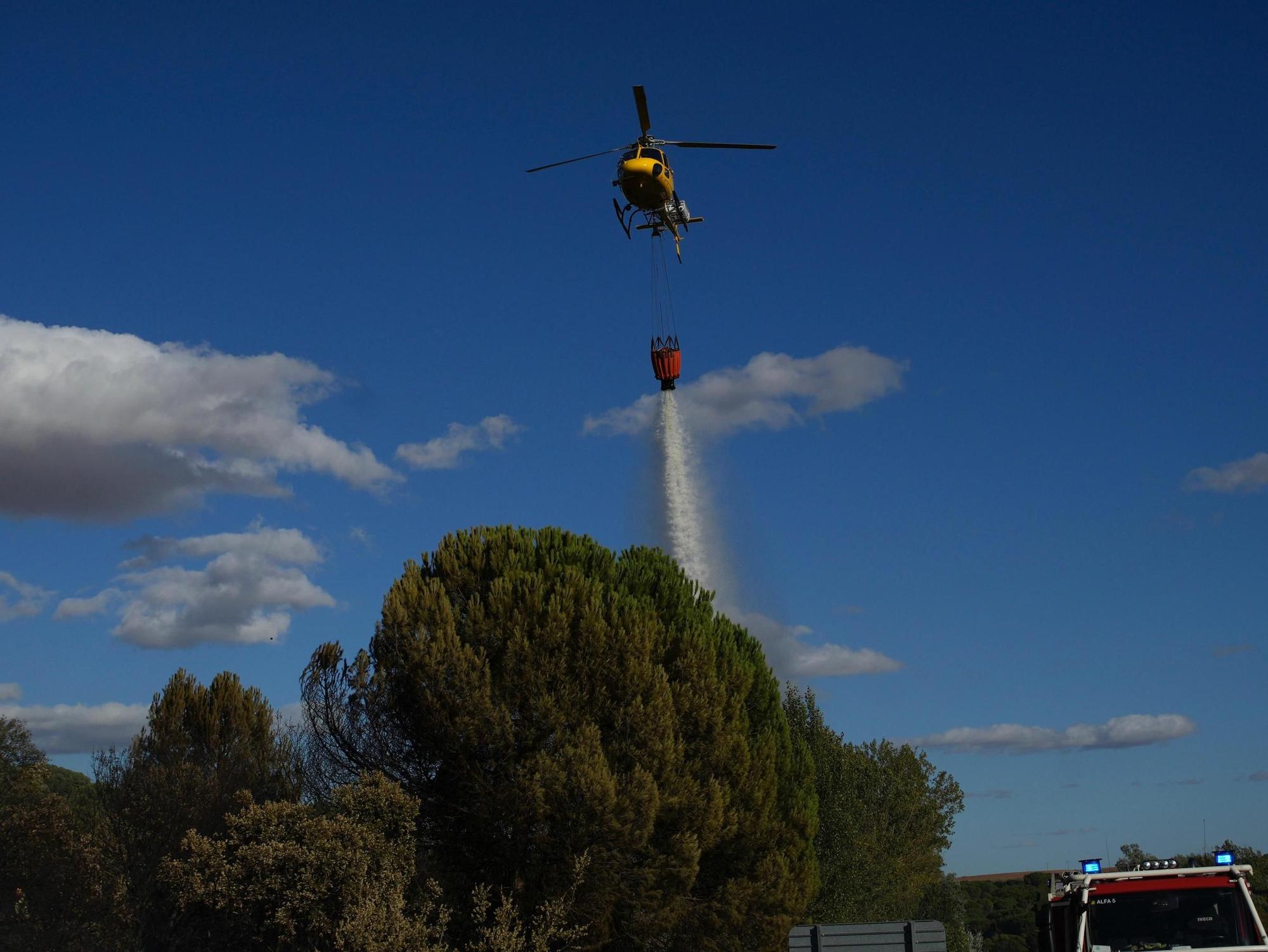 Incendio en el entorno de la Fuente de la Salud de Zamora