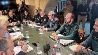 Subdelegación del Gobierno: "Nunca ha habido tanta policía en Marbella"